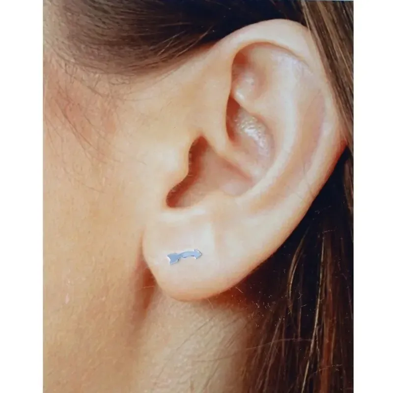 Pendientes mini plata Ley 925m par flecha 5mm. mujer cierre presión