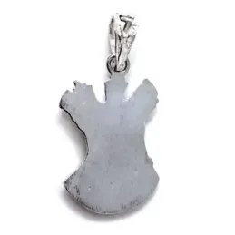Colgante plata Ley 925m macizo 22mm. imágen Cristo Nazareno detalles tallados trasera lisa
