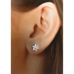 Pendientes plata Ley 925m mujer 10 mm. flor circonita centro presión