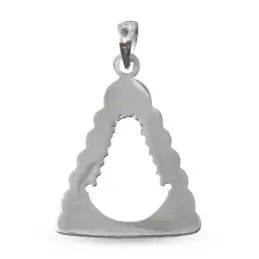 Colgante plata Ley 925m macizo 30mm. silueta Virgen del Rocío calada borde detalles forma manto