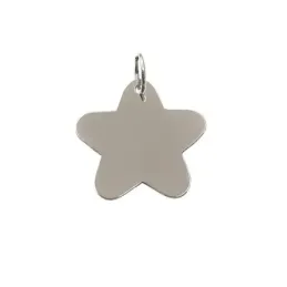Colgante plata ley 925m 19mm. chapa estrella para grabar [AA8493]