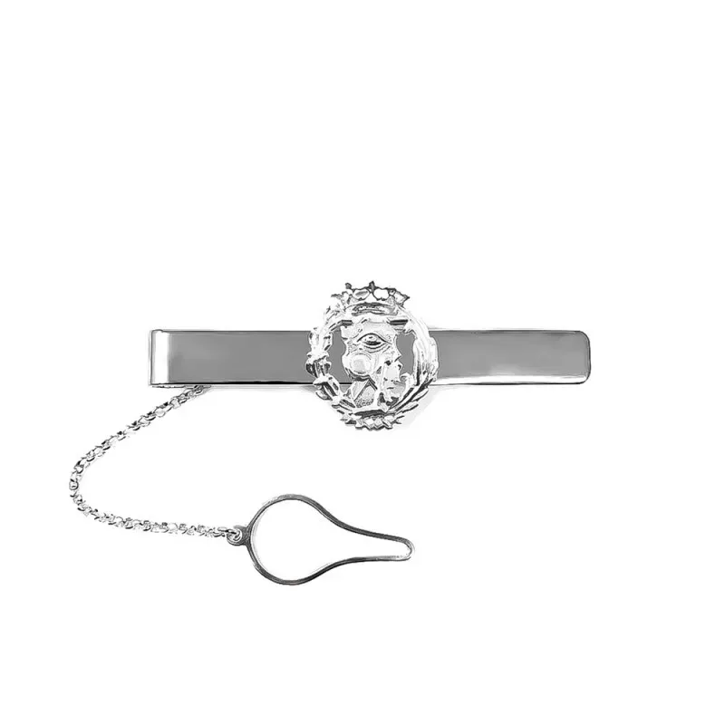 Pisacorbatas Insignia Profesional Ciencias Exactas Plata Ley 925m 54m