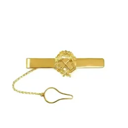 Pisacorbatas Insignia Ingeniero Minas Plata Ley 925m chapado oro 54 m