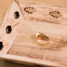 Sello oro 18k caballero óvalo rubí 10mm. [AB3074]