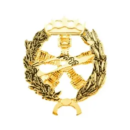 Insignia profesional Ingeniero Aeronáutico y del Espacio 22 mm. plata