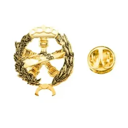 Insignia profesional Ingeniero Aeronáutico y del Espacio 22 mm. plata
