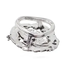 Insignia Profesional de Geógrafo 18 mm. Plata de Ley 925m macizo escu
