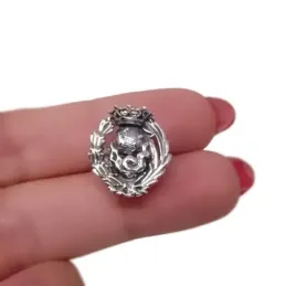 Insignia Profesional de Geógrafo 18 mm. Plata de Ley 925m macizo escu