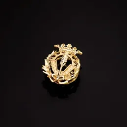 Ciencias Políticas Y Económicas Insignia Profesional Escudo Oro 18k u