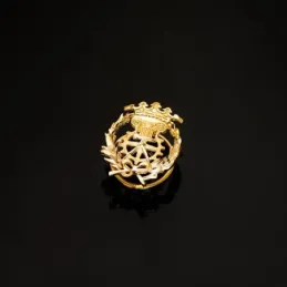 Delineante Insignia Profesional Escudo Oro 18k unisex 17 mm. alfiler