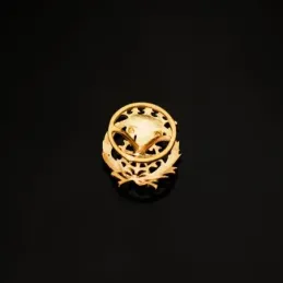 Delineante Insignia Profesional Escudo Oro 18k unisex 17 mm. alfiler