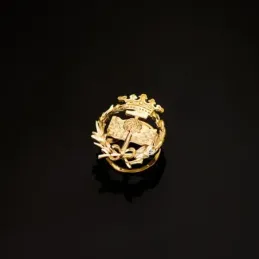 Ciencias Geológicas Insignia Profesional Escudo Oro 18k unisex 17 mm.