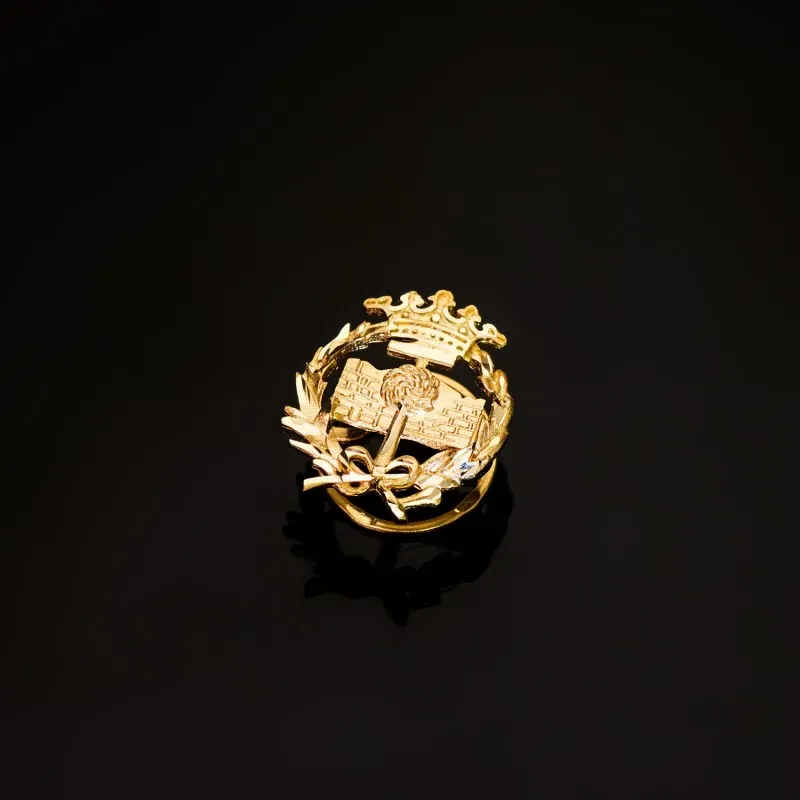 Ciencias Geológicas Insignia Profesional Escudo Oro 18k unisex 17 mm.