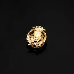 Geografía Insignia Profesional Escudo Oro 18k unisex 17 mm. alfiler p
