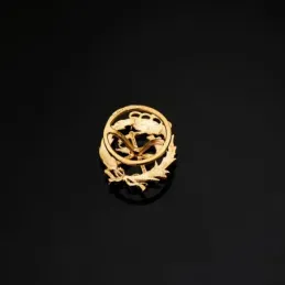 Ingeniero De Montes Insignia Profesional Escudo Oro 18k unisex 17 mm.