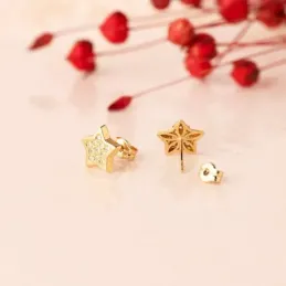 Pendientes Oro 18k mujer 9 mm. forma estrella circonitas