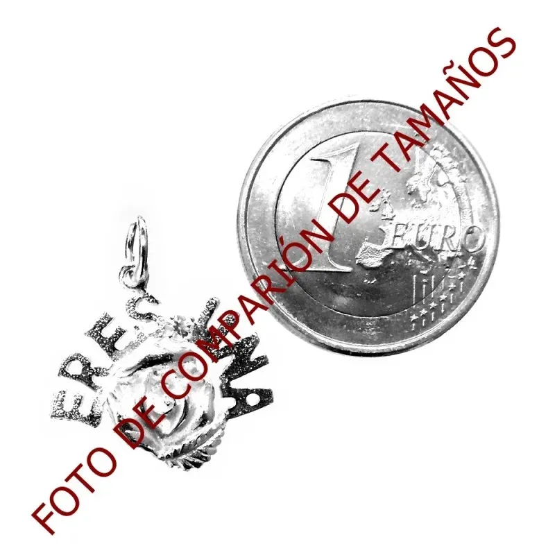 Colgante plata Ley 925m ERES UNA ROSA [1147]