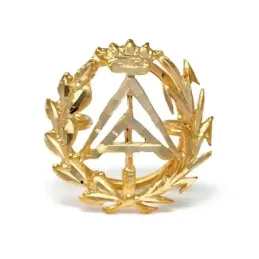 Pin solapa Aparejador oro 18k insignia profesional 16mm.