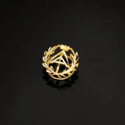 Pin solapa Aparejador oro 18k insignia profesional 16mm.