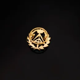 Pin solapa Aparejador oro 18k insignia profesional 16mm.