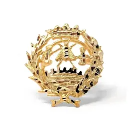 Insignia profesional Económicas oro 18k escudo pin solapa 17.6mm.