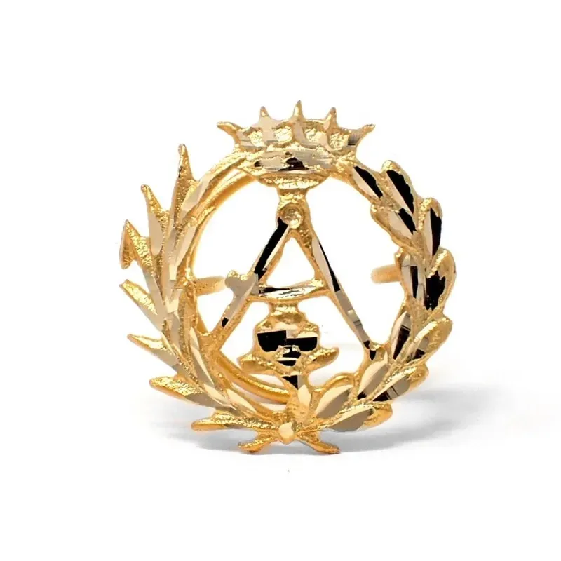 Insignia profesional Arquitectura oro 18k escudo pin solapa 16.6mm.