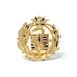 Insignia profesional Medicina oro 18k escudo pin solapa 17.7mm.
