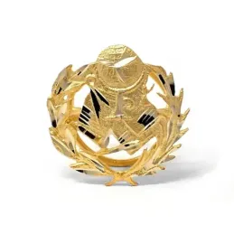 Insignia profesional Magisterio oro 18k escudo pin solapa 15.2mm.