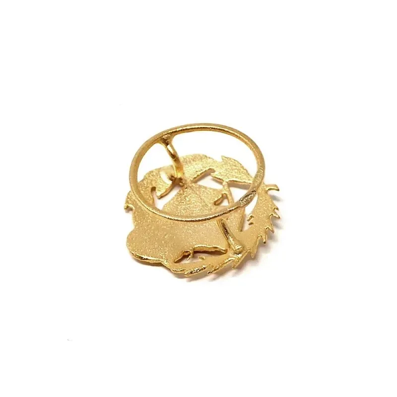 Insignia profesional Magisterio oro 18k escudo pin solapa 15.2mm.