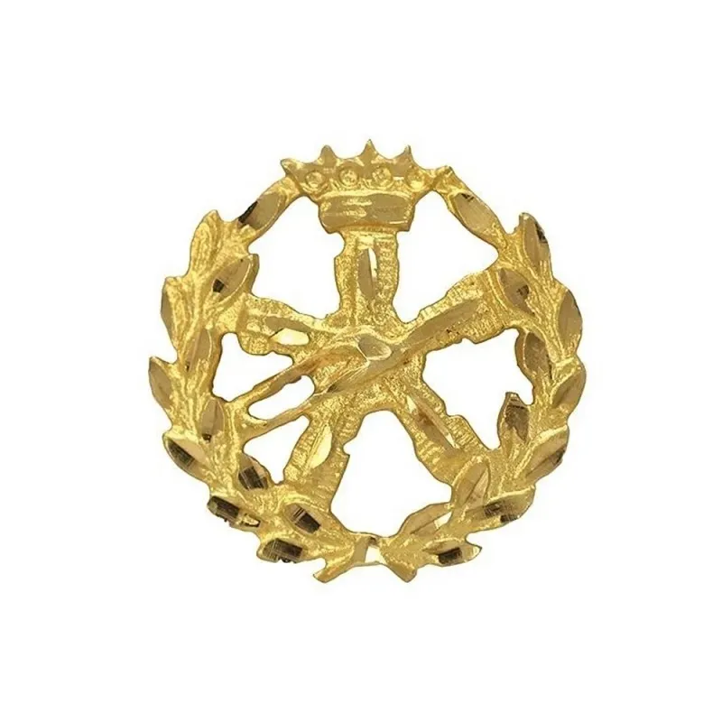 Insignia profesional Ingeniería Aeroespacial - Aeronáutica oro 18k