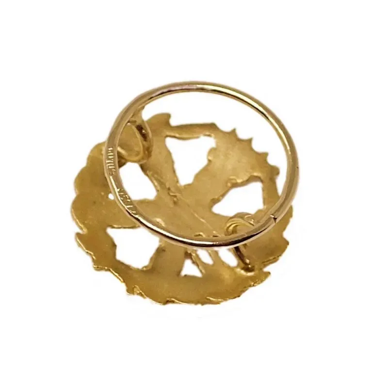 Insignia profesional Ingeniería Aeroespacial - Aeronáutica oro 18k
