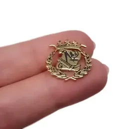 Insignia Profesional de Magisterio en Plata de Ley 925m chapado oro