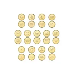 Arras de Boda Civiles Plata Ley 925m chapadas oro con 20 mm. 13 moned