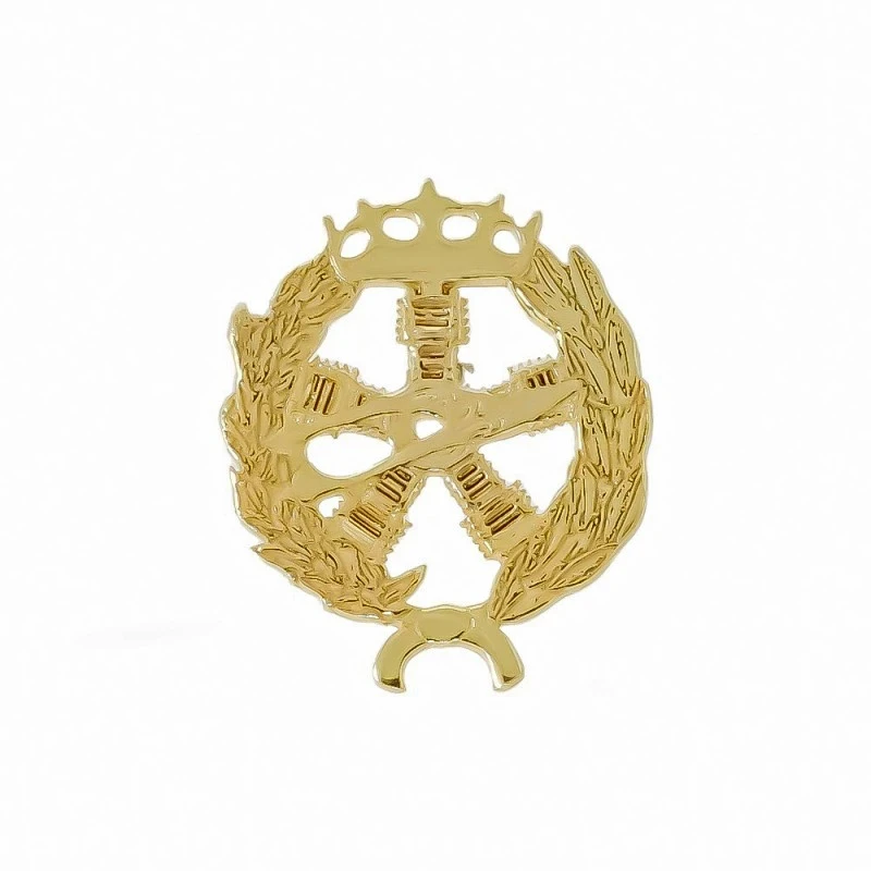 Insignia profesional Ingeniero Aeronáutico y del Espacio 22 mm. plata
